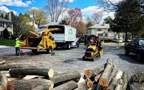 Best Commercial Tree Services  in Mooresville, NC