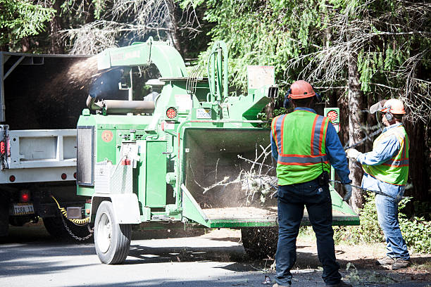 Best Weed Control  in Mooresville, NC